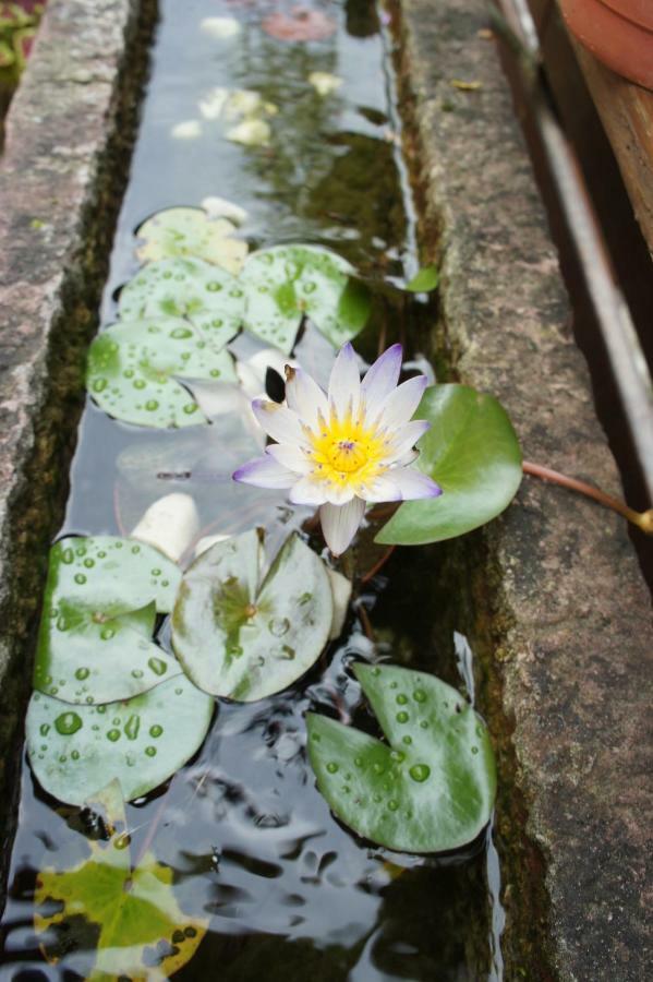 Cheng-Ping Hot Spring Inn Wenquan Luaran gambar